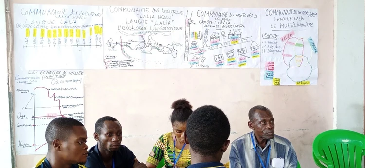 Développement de langues 